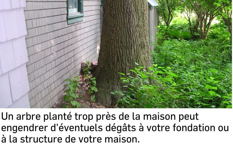Bien planifier l'aménagement extérieure